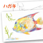 暑中見舞い 水彩色鉛筆 大人の塗り絵 熱帯魚