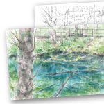 水彩 風景画 神の子池 ぬり絵