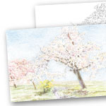 色鉛筆 風景画 桜の風景 ぬり絵