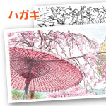 和傘と桜 色鉛筆 塗り絵