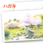 色鉛筆 桜と小川風景 塗り絵