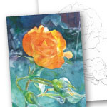 水彩画 オレンジのバラ 大人の塗り絵