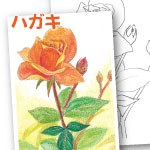 色鉛筆 蓮の花 ぬり絵