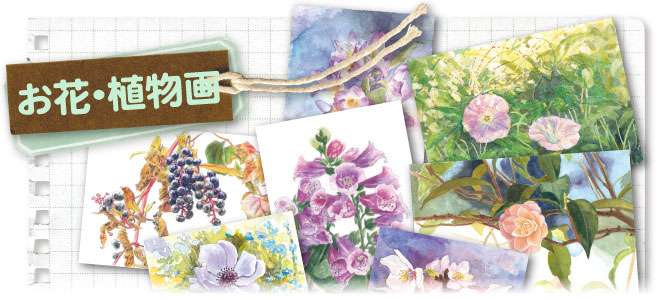水彩画ぬり絵 お花・植物画シリーズ トップ